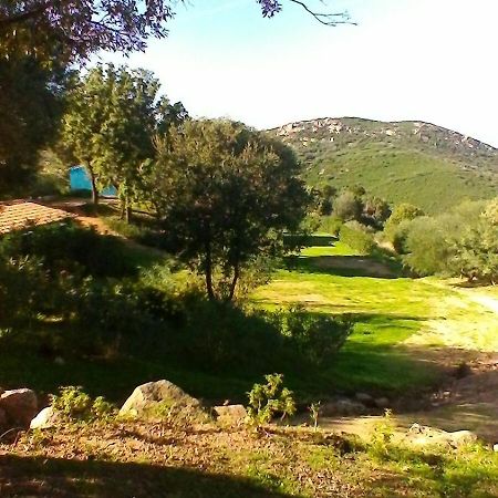 Farm Stay Gli Oleandri Loiri Porto San Paolo Kültér fotó