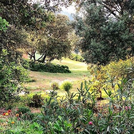 Farm Stay Gli Oleandri Loiri Porto San Paolo Kültér fotó
