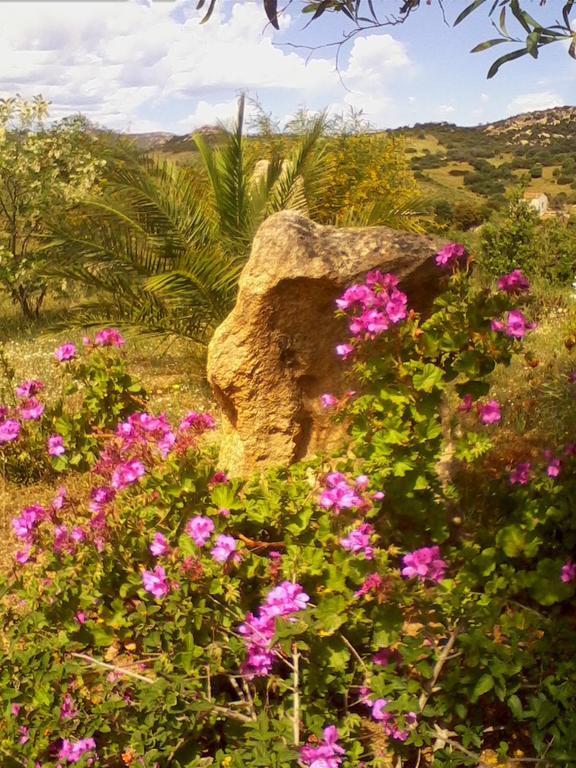 Farm Stay Gli Oleandri Loiri Porto San Paolo Kültér fotó