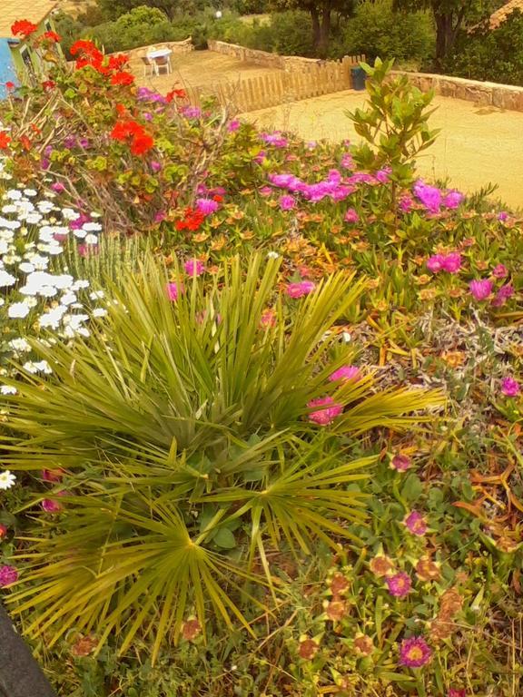 Farm Stay Gli Oleandri Loiri Porto San Paolo Kültér fotó