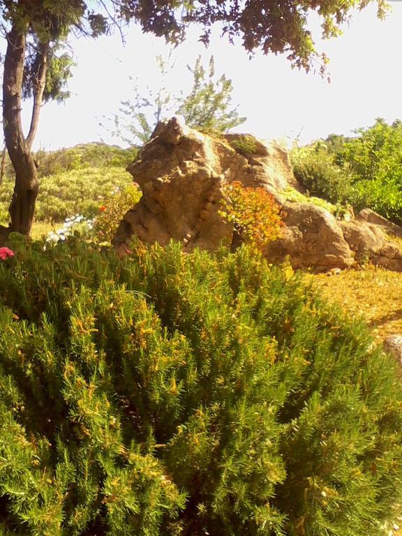Farm Stay Gli Oleandri Loiri Porto San Paolo Kültér fotó