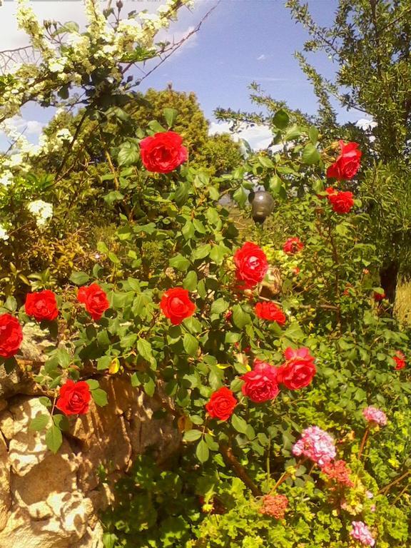 Farm Stay Gli Oleandri Loiri Porto San Paolo Kültér fotó