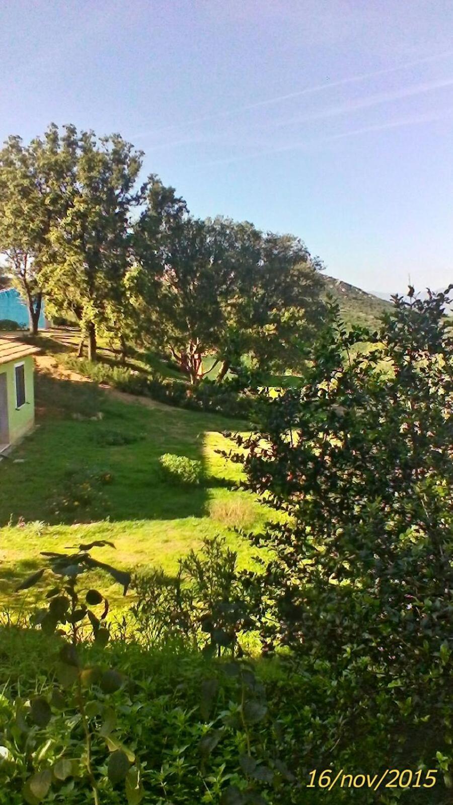 Farm Stay Gli Oleandri Loiri Porto San Paolo Kültér fotó