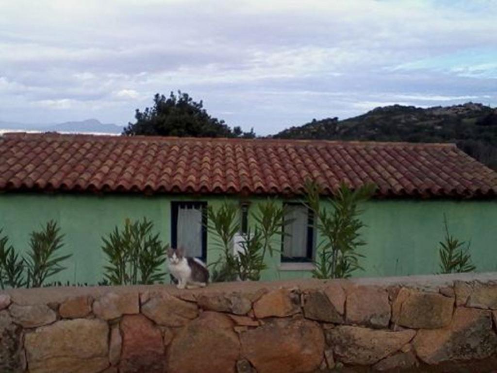 Farm Stay Gli Oleandri Loiri Porto San Paolo Kültér fotó