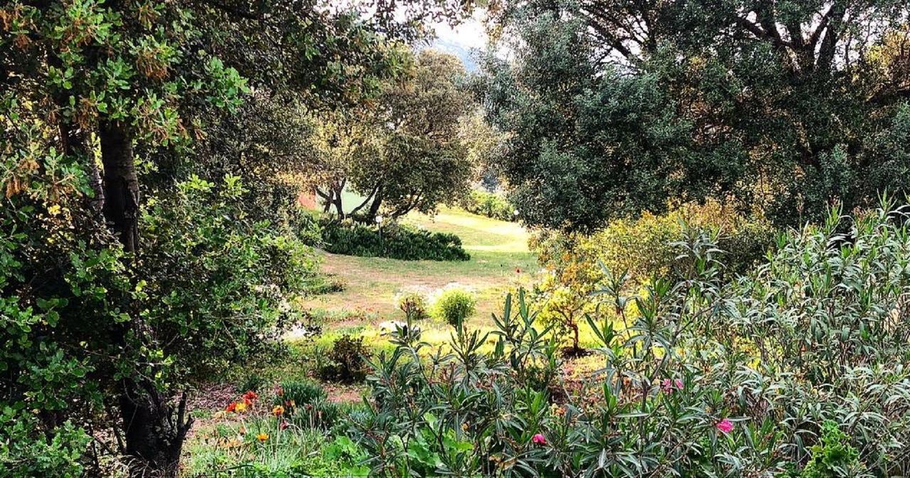 Farm Stay Gli Oleandri Loiri Porto San Paolo Kültér fotó