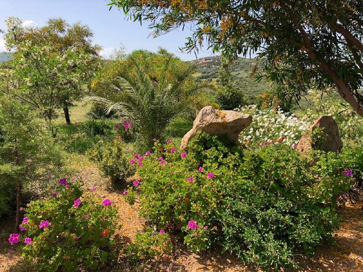 Farm Stay Gli Oleandri Loiri Porto San Paolo Kültér fotó