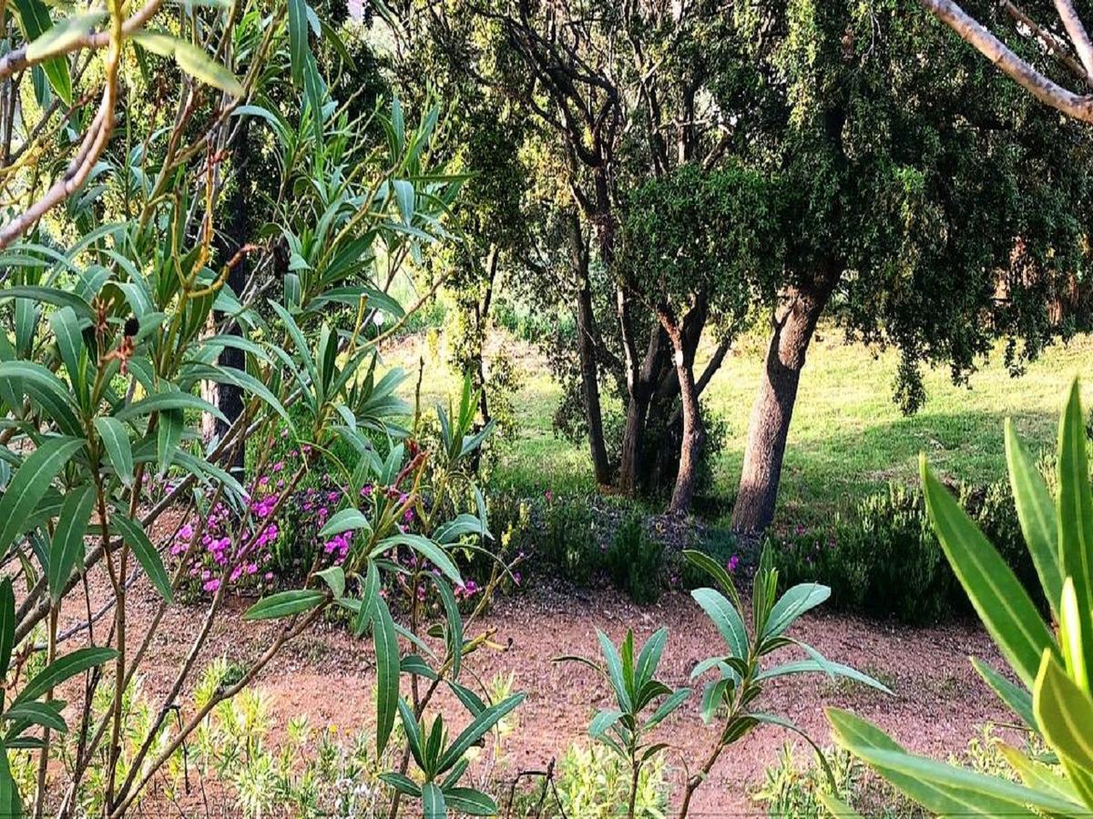 Farm Stay Gli Oleandri Loiri Porto San Paolo Kültér fotó