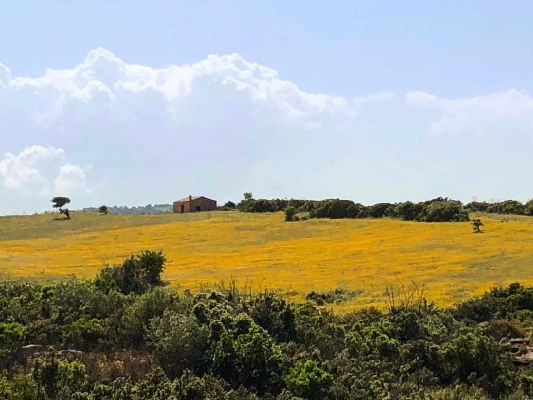 Farm Stay Gli Oleandri Loiri Porto San Paolo Kültér fotó